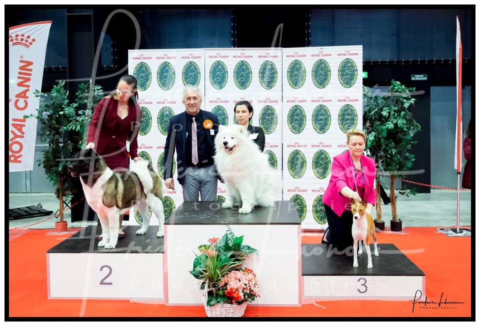 CH. Ba'Kita Hi my name is zem bien