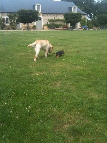 Publication : Dax Leonesse