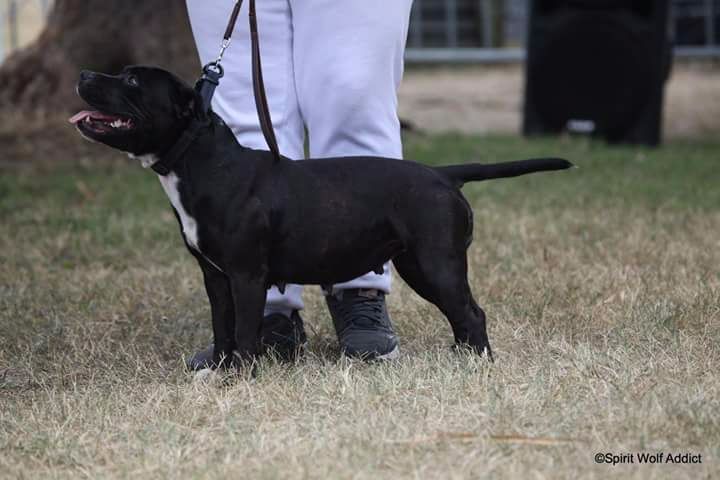 Lexy girl aka opium (Sans Affixe)