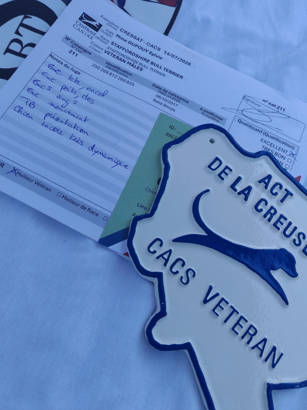 CH. Naiko New Esperanza of Spirit Wolf Addict - 1er Excellent, CACS-V, Meilleur Veteran