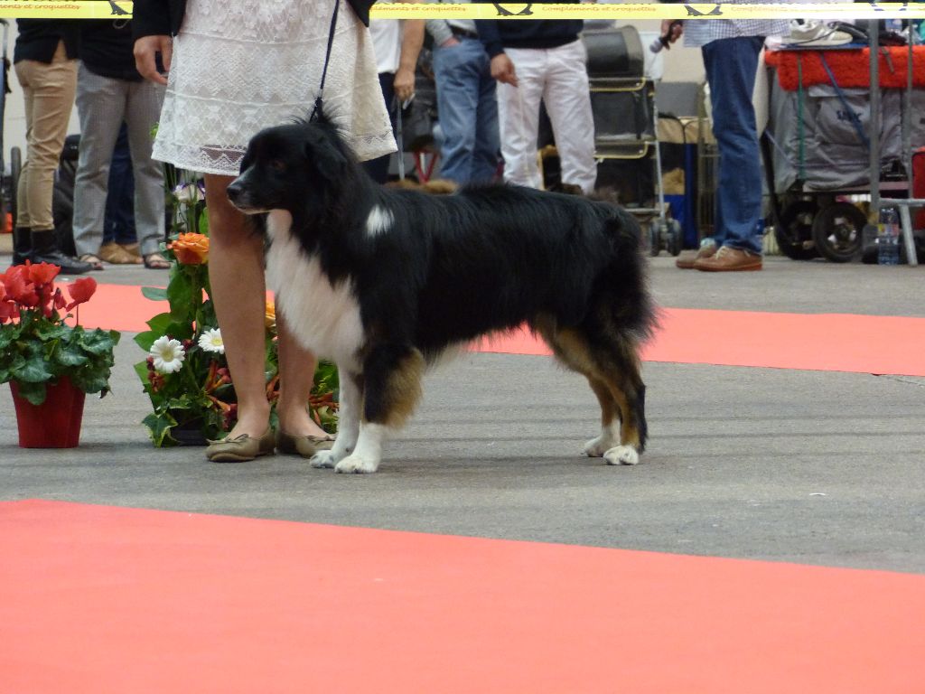 Milky way de l'atoll de tikéhau De L'Atoll De Tikéhau - 4ème EXCELLENT classe Intermédiaire