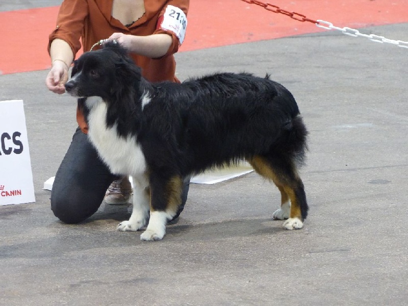 Milky way de l'atoll de tikéhau De L'Atoll De Tikéhau - 2ème excellent en classe jeune mâle