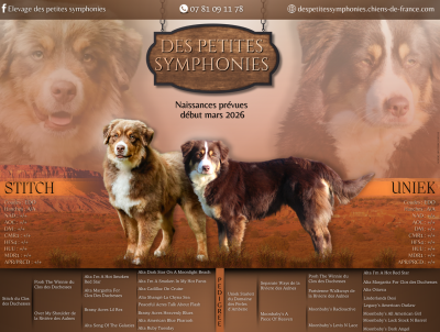 des Petites Symphonies