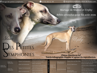 des Petites Symphonies