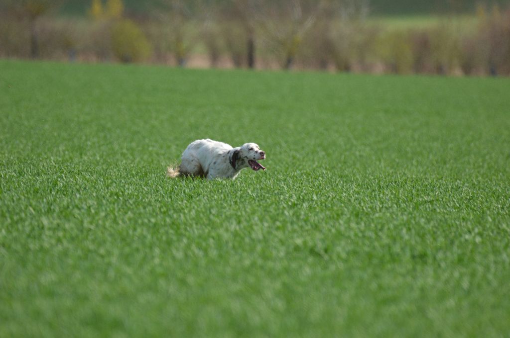 Publication : Du sentier des lutins