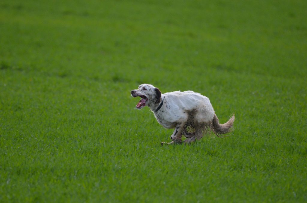 Publication : Du sentier des lutins