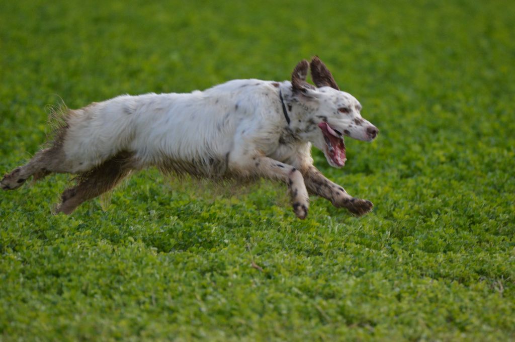 Publication : Du sentier des lutins
