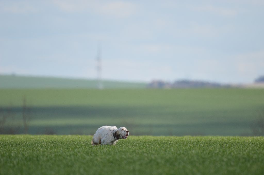 Publication : Du sentier des lutins