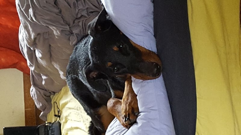 Publication : (Sans Affixe)