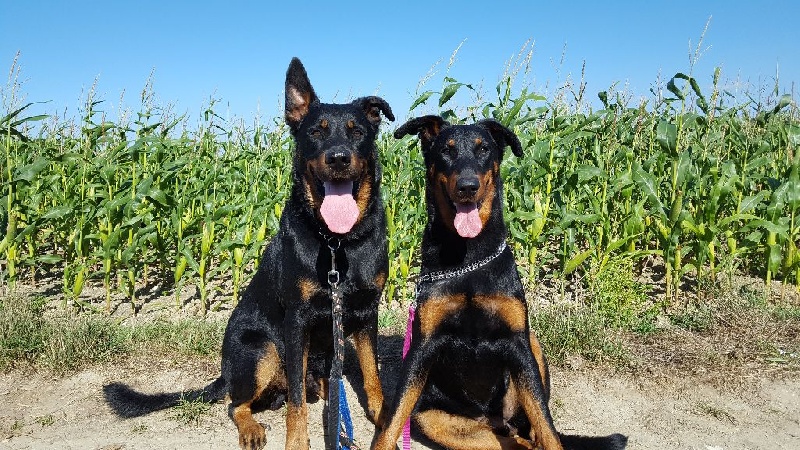 Publication : (Sans Affixe)