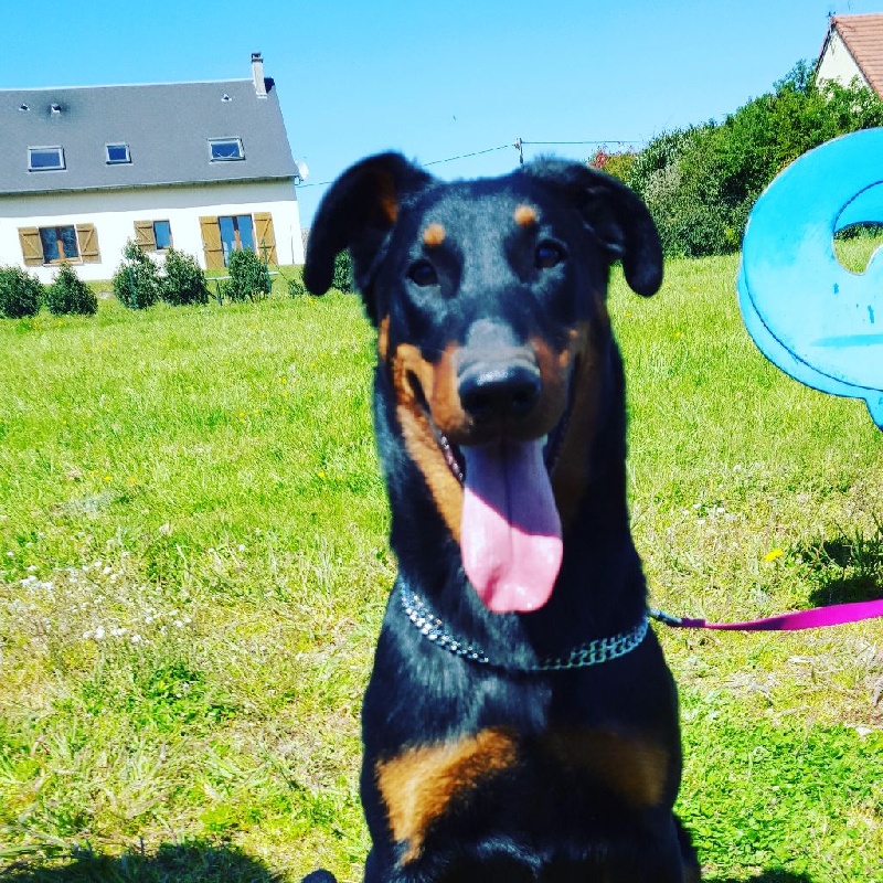 Publication : (Sans Affixe)