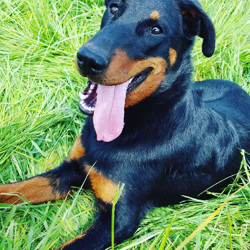 Publication : (Sans Affixe)