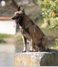 Publication : de la cuadrilla