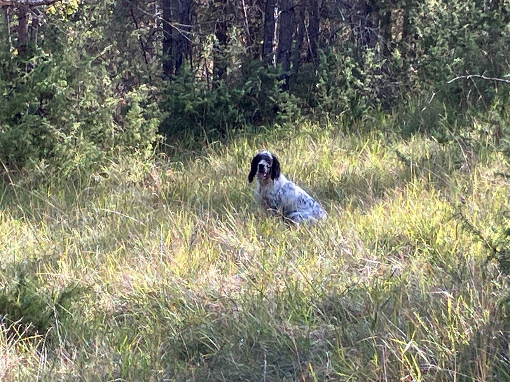 Valy De La Vallée De Champlebout