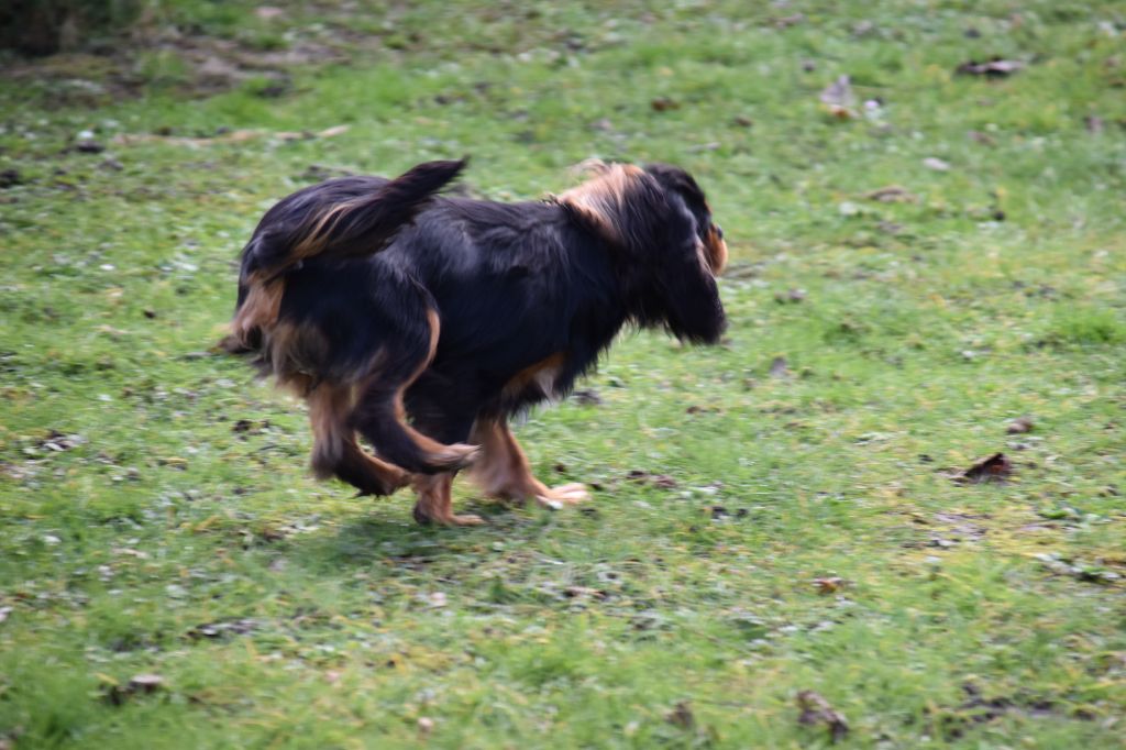 Violette Du Repère Des Poilus