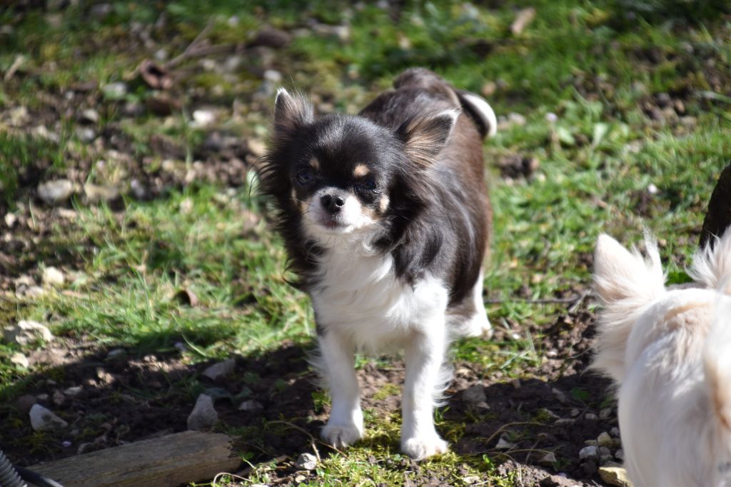 Publication : Du Repère Des Poilus