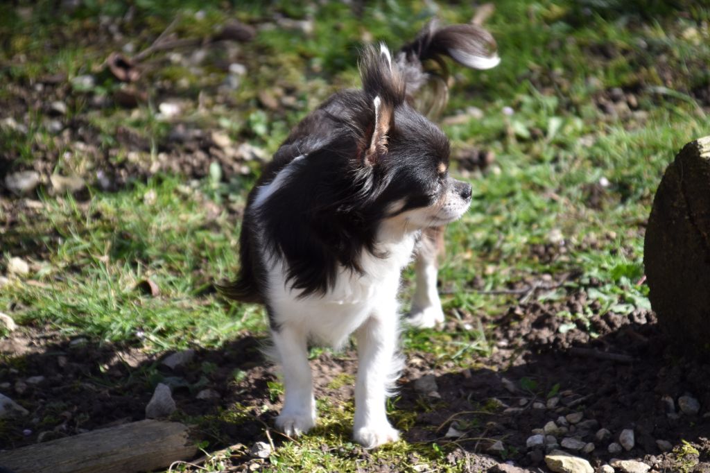 Publication : Du Repère Des Poilus