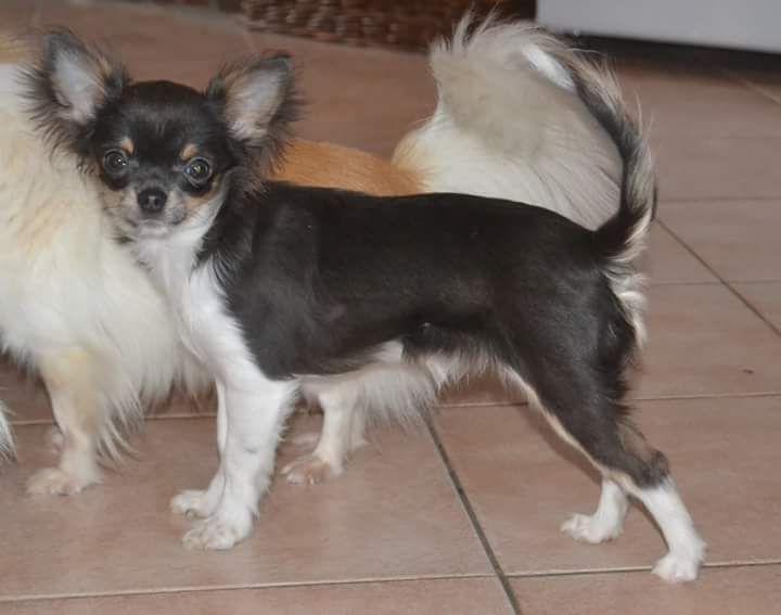 Publication : Du Repère Des Poilus