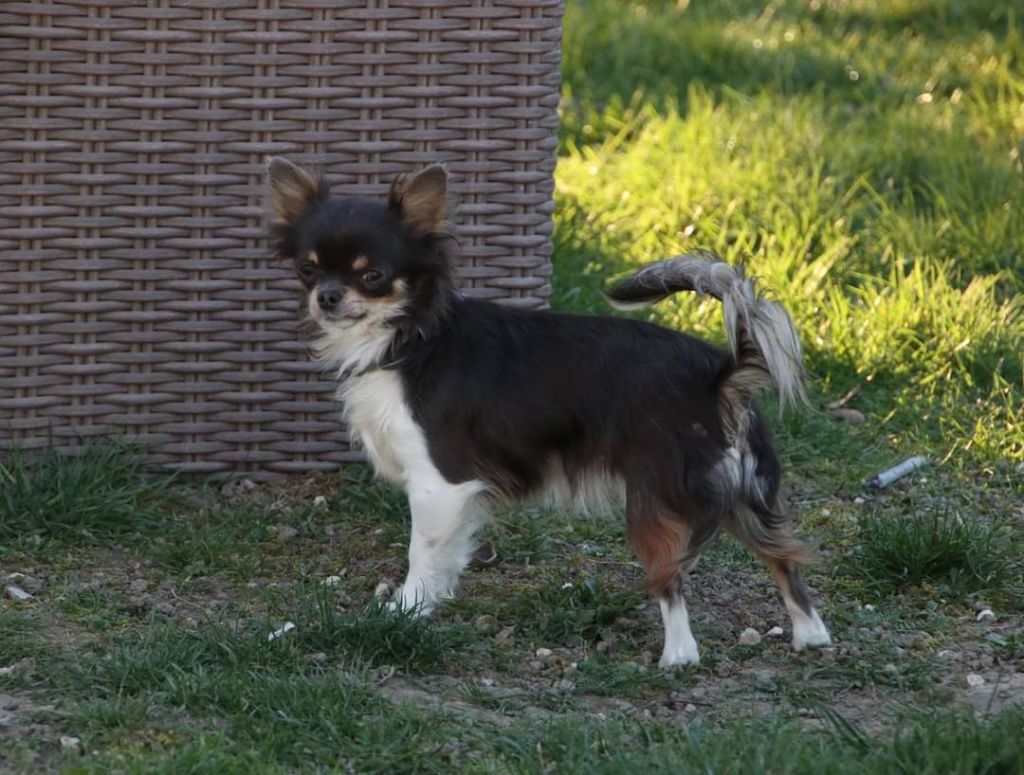 Publication : Du Repère Des Poilus