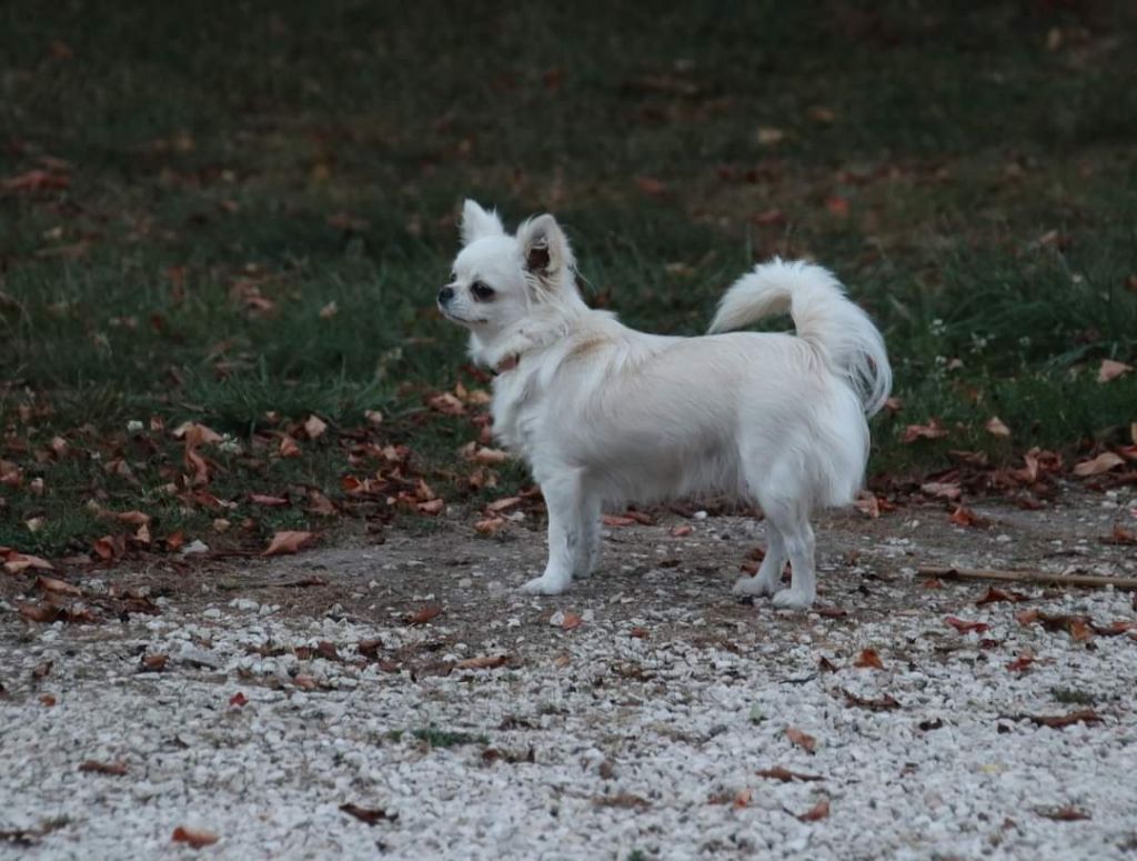 Publication : Du Repère Des Poilus