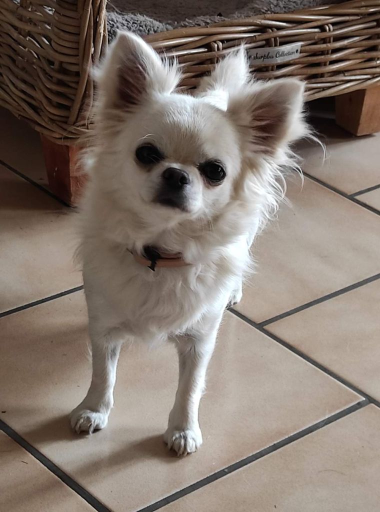 Publication : Du Repère Des Poilus