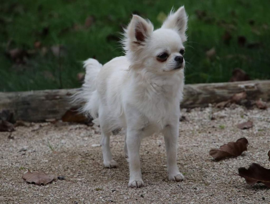 Publication : Du Repère Des Poilus