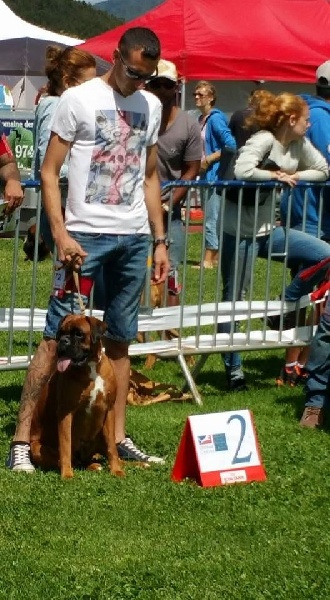 Jade skywalker du Chêne Feuillu - 2ème Excellent