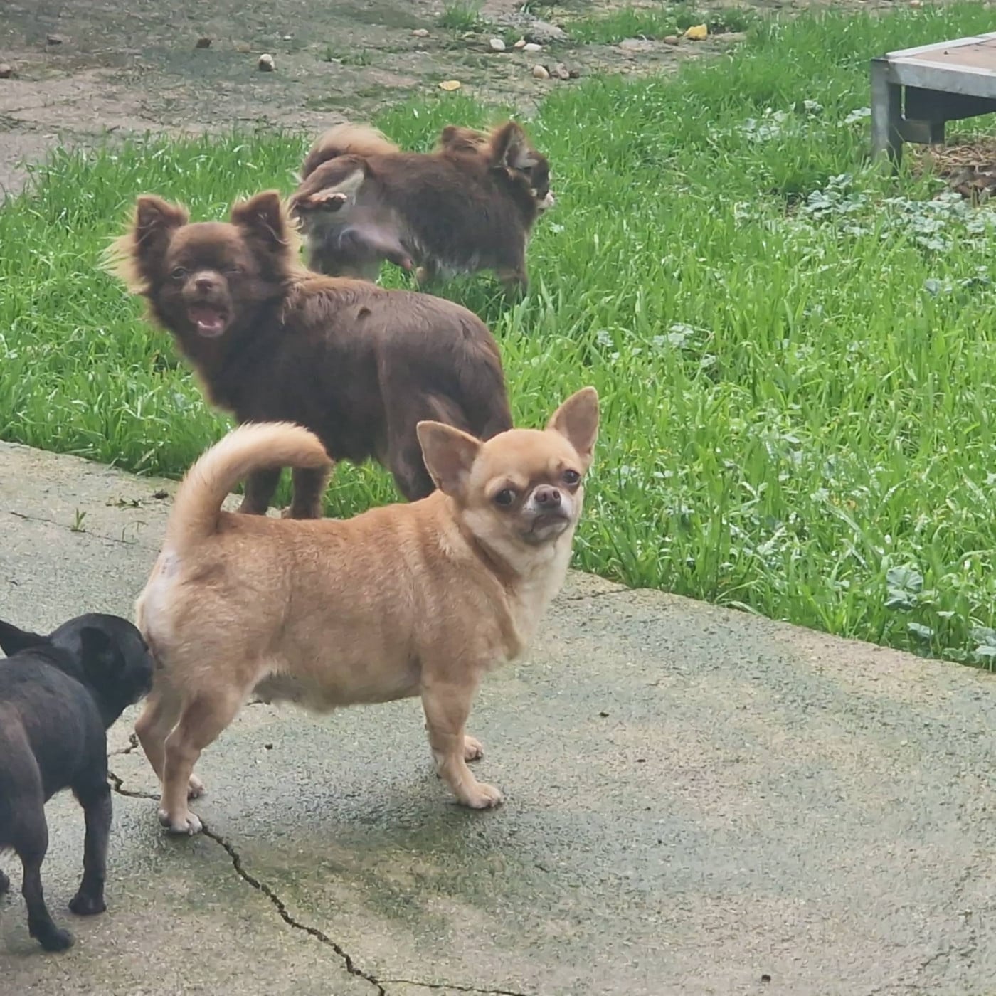 Publication : des parfums d'ambre