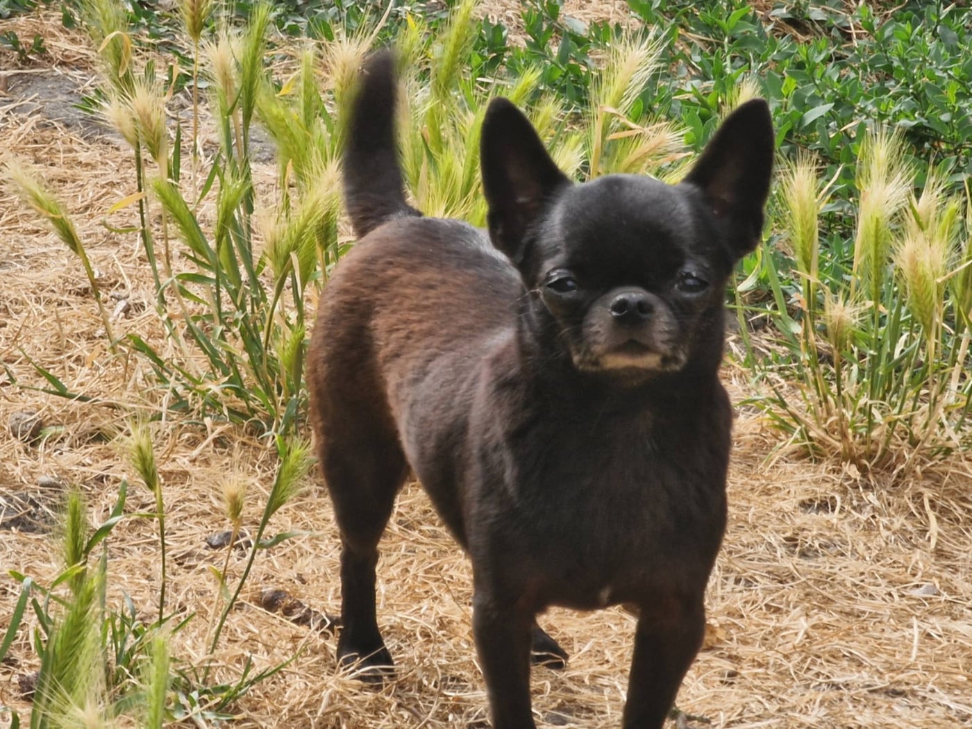 Publication : des parfums d'ambre