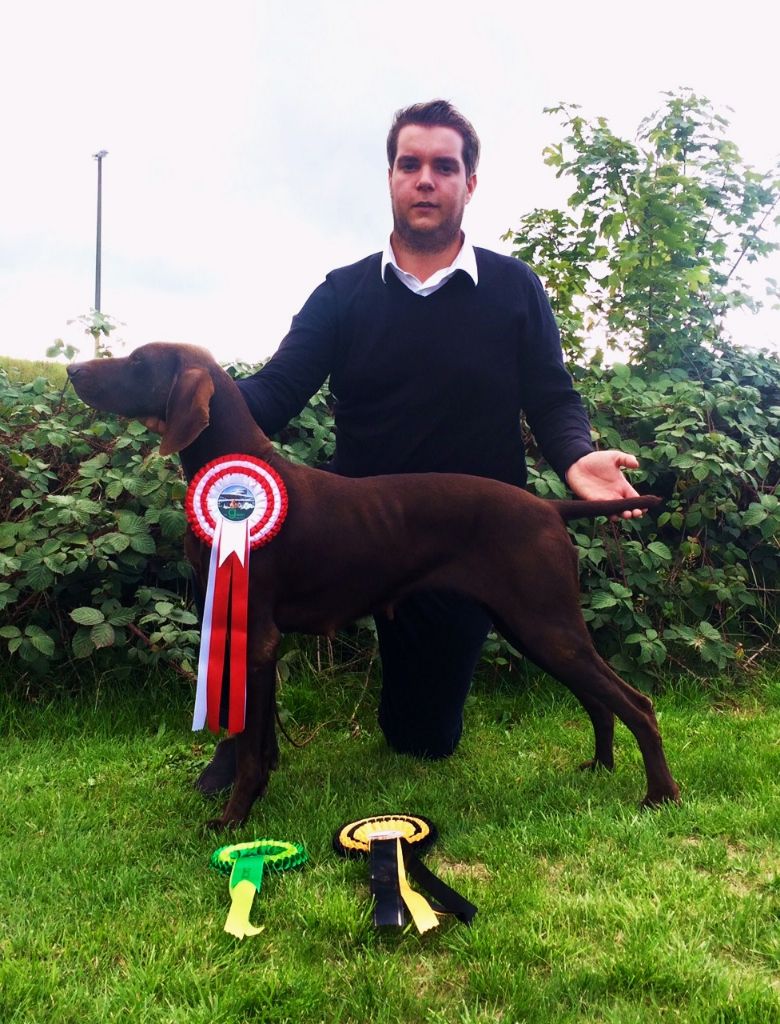 TR. CH. Jolie Du gue vaslin - 2ème Meilleur Class Working de l'exposition - MEILLEUR DE RACE - CACIB/CAC