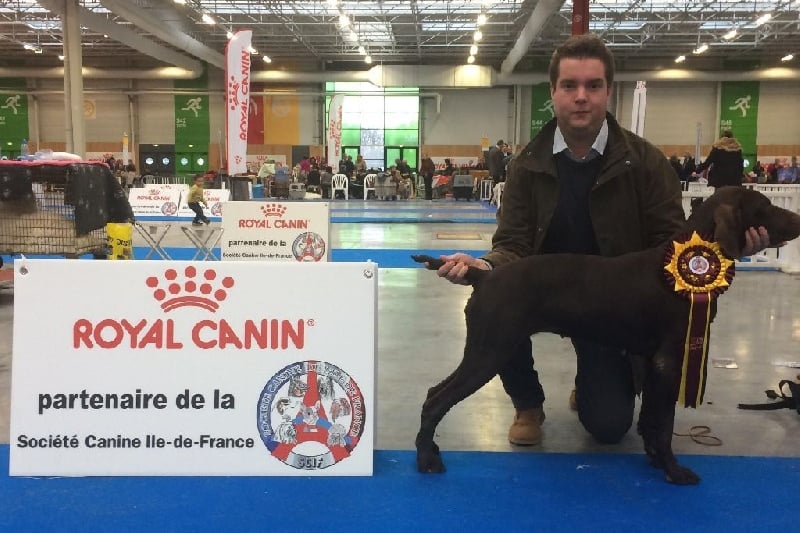 TR. CH. Jolie Du gue vaslin - MEILLEUR DE RACE - CACIB/CACS - 1er Excellent