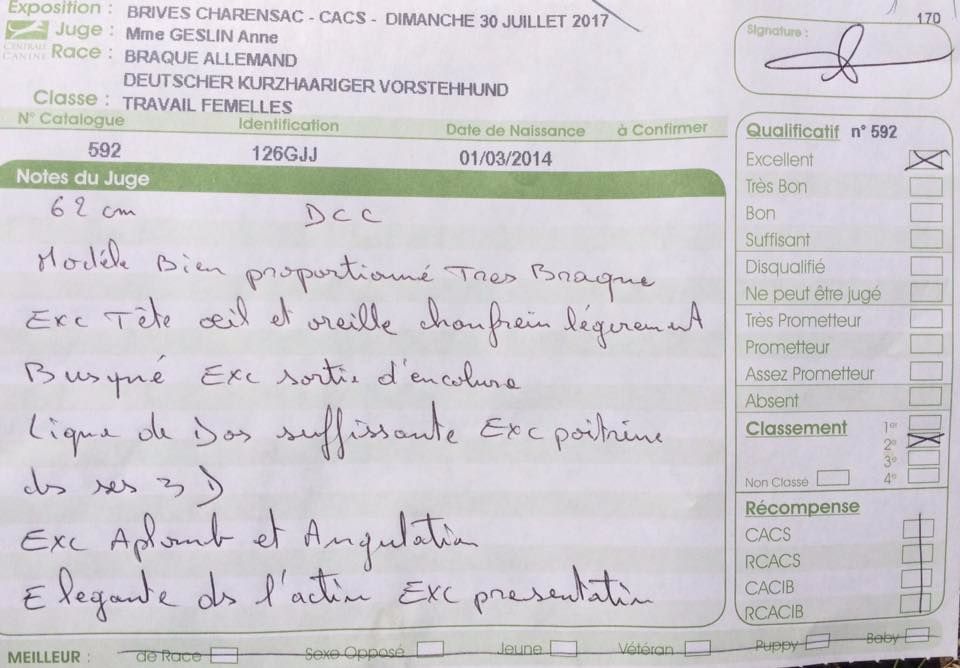 TR. CH. Jolie Du gue vaslin - 2ème Excellent