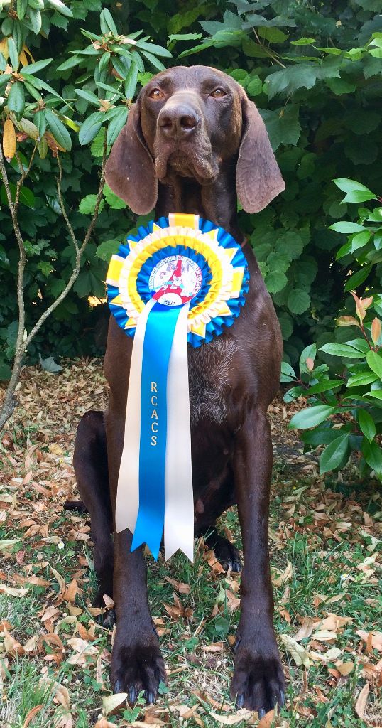 TR. CH. Jolie Du gue vaslin - RCACS - 2ème excellent