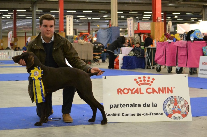 TR. CH. Jolie Du gue vaslin - MEILLEUR DE RACE DE SEXE OPPOSE - CACS - 1er Excellent