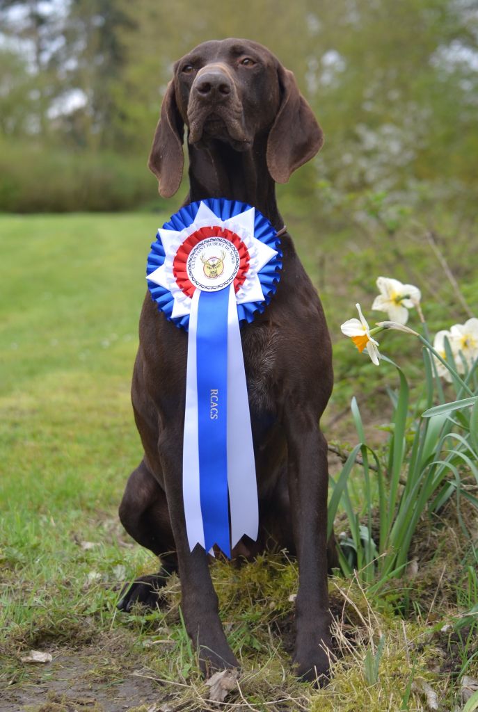 TR. CH. Jolie Du gue vaslin - RCACS - 2ème Excellent