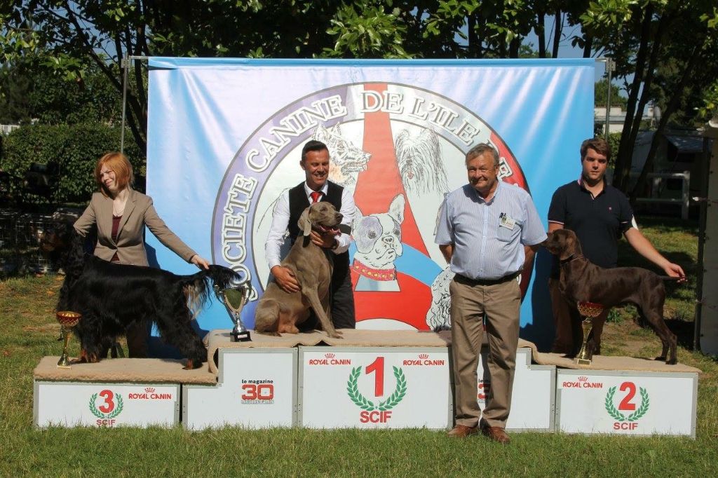 TR. CH. Jolie Du gue vaslin - 2ème du 7ème groupe - Meilleur de Race - CACS - 1er Excellent