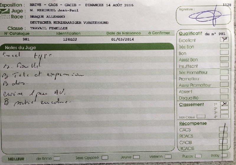 TR. CH. Jolie Du gue vaslin - 1er Excellent