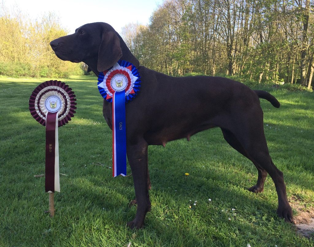 TR. CH. Jolie Du gue vaslin - MEILLEUR DE RACE - CACS - 1er Excellent