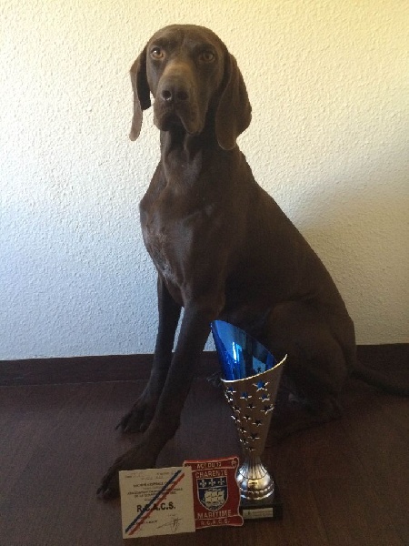 TR. CH. Jolie Du gue vaslin - RCACS - 1er Excellent