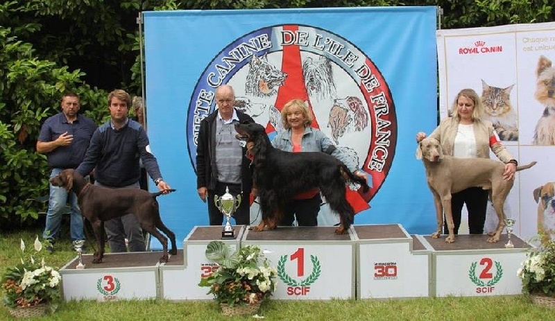 TR. CH. Jolie Du gue vaslin - 3ème du 7ème groupe - Meilleur de Race - CACS - 1er Excellent