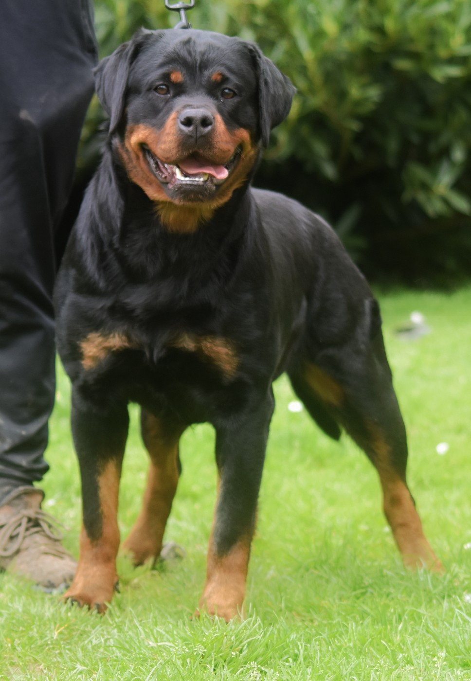 V for vendetta Vom Owane's Paradise