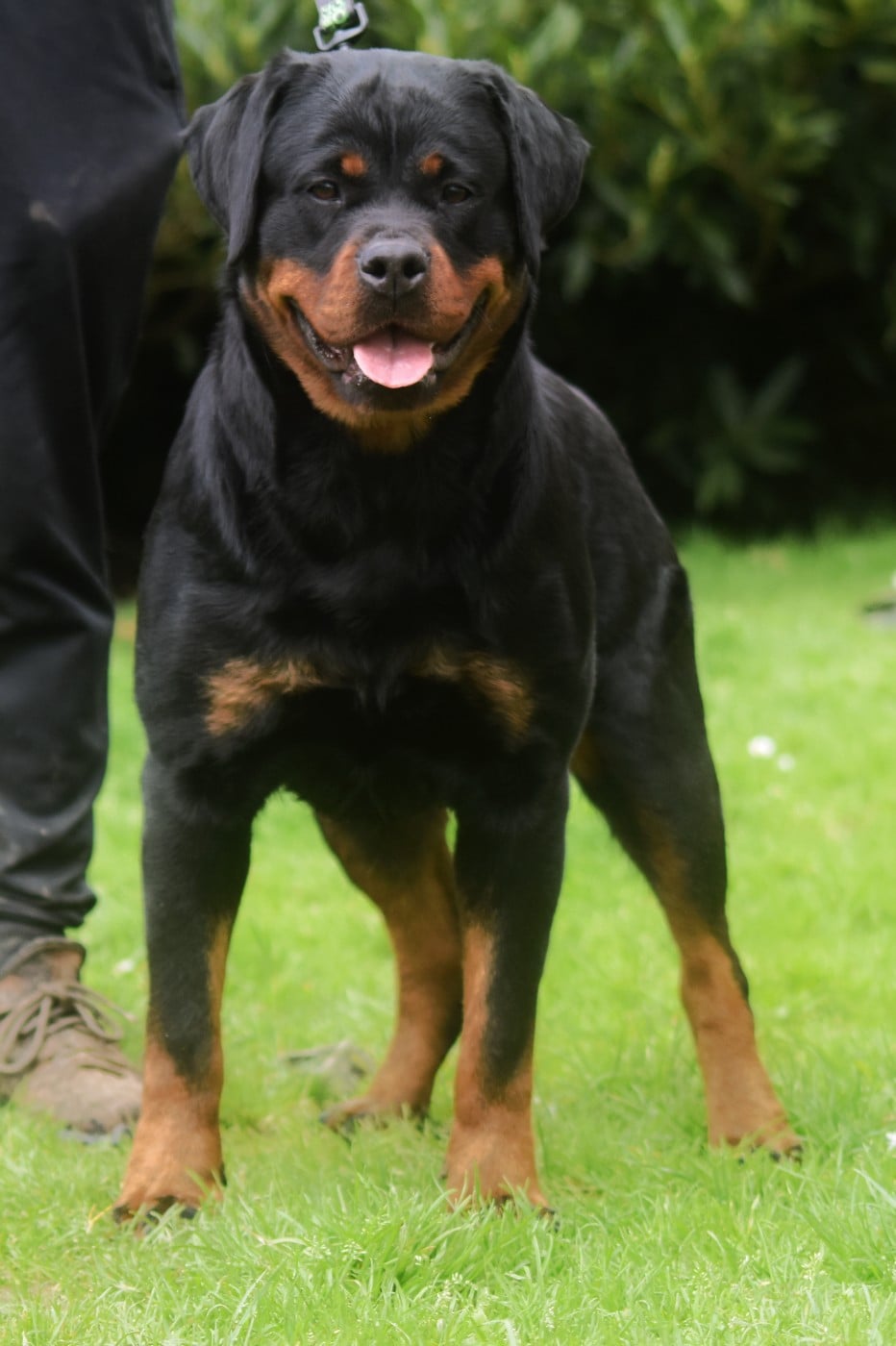 V for vendetta Vom Owane's Paradise