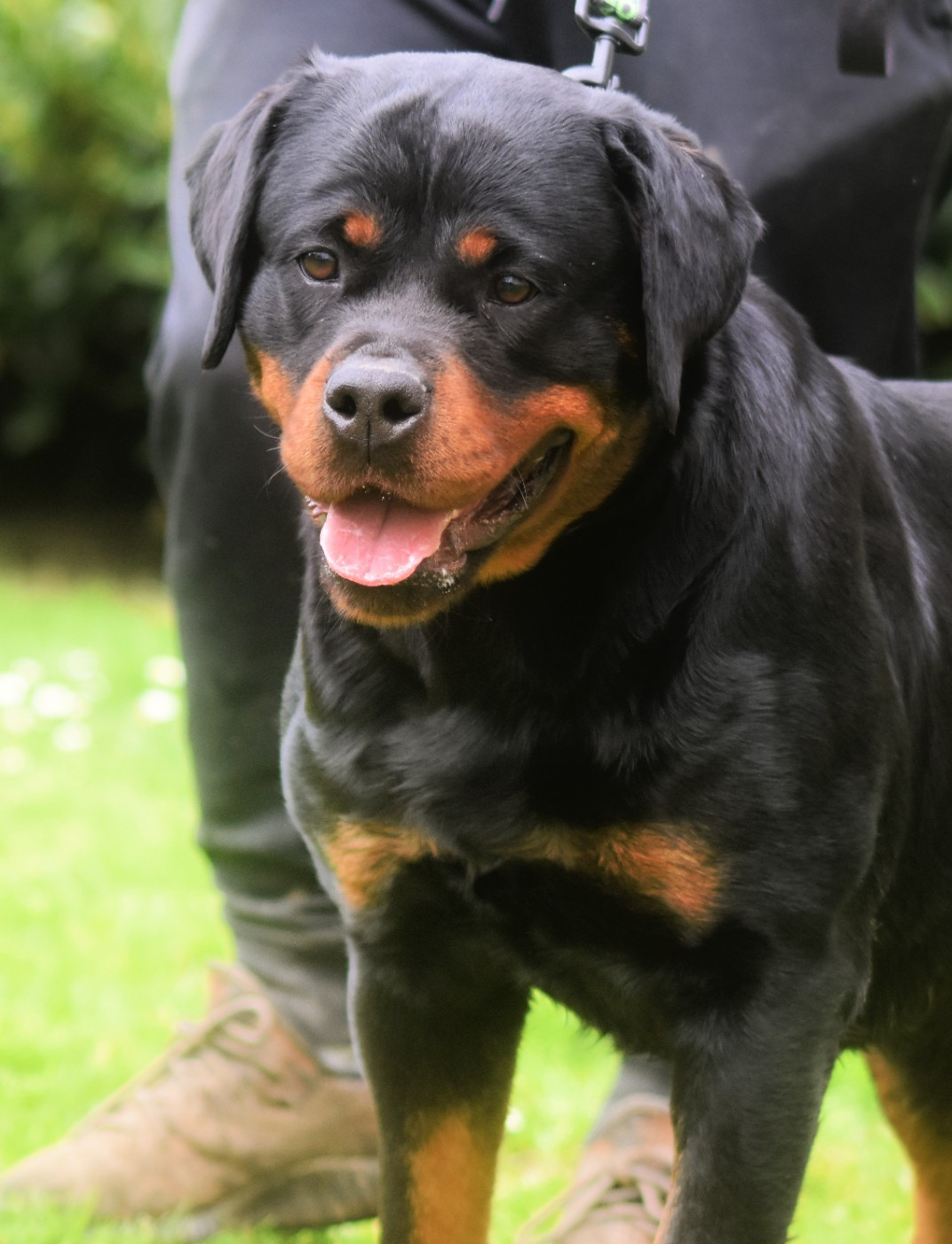 V for vendetta Vom Owane's Paradise