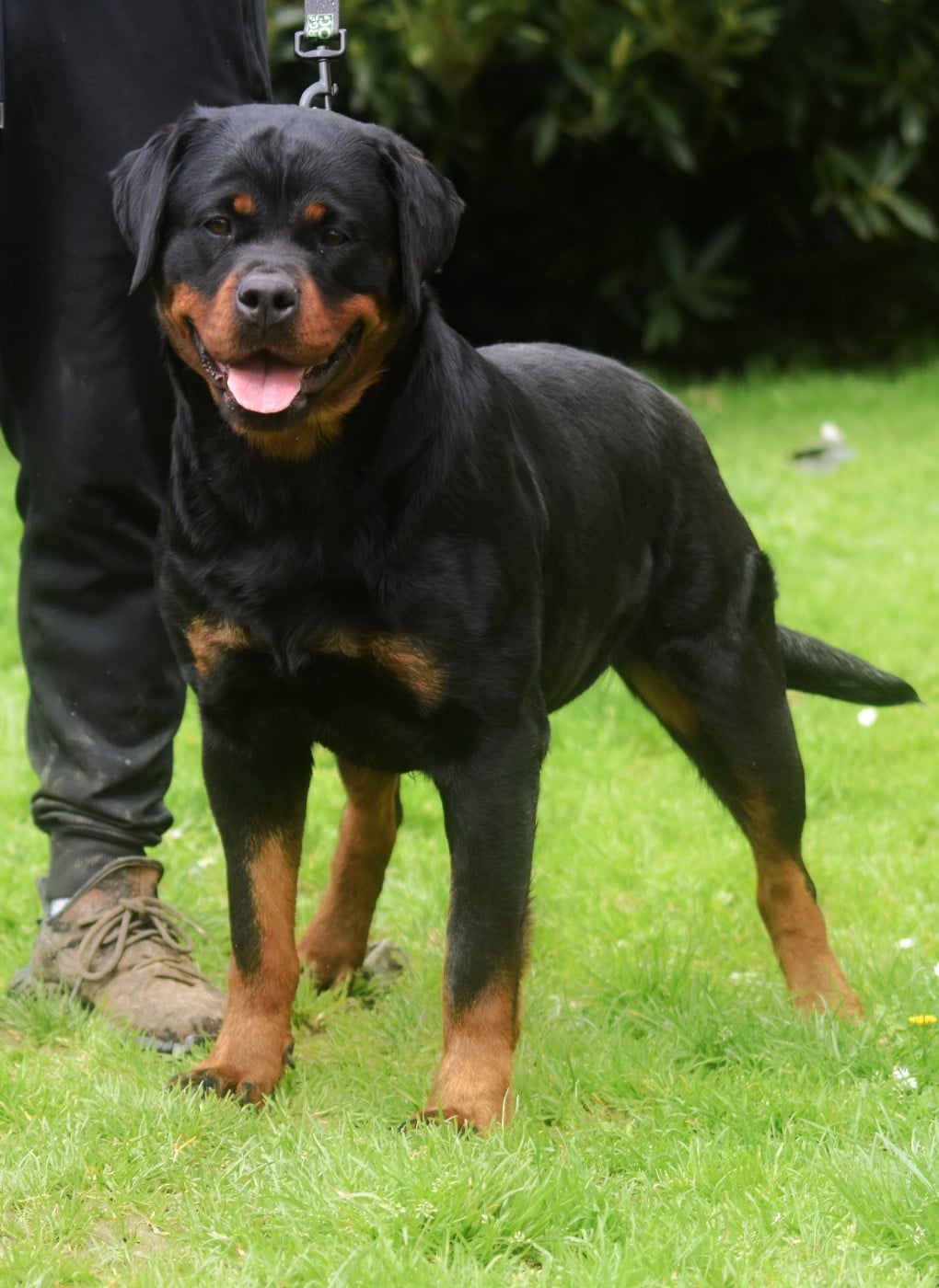 V for vendetta Vom Owane's Paradise