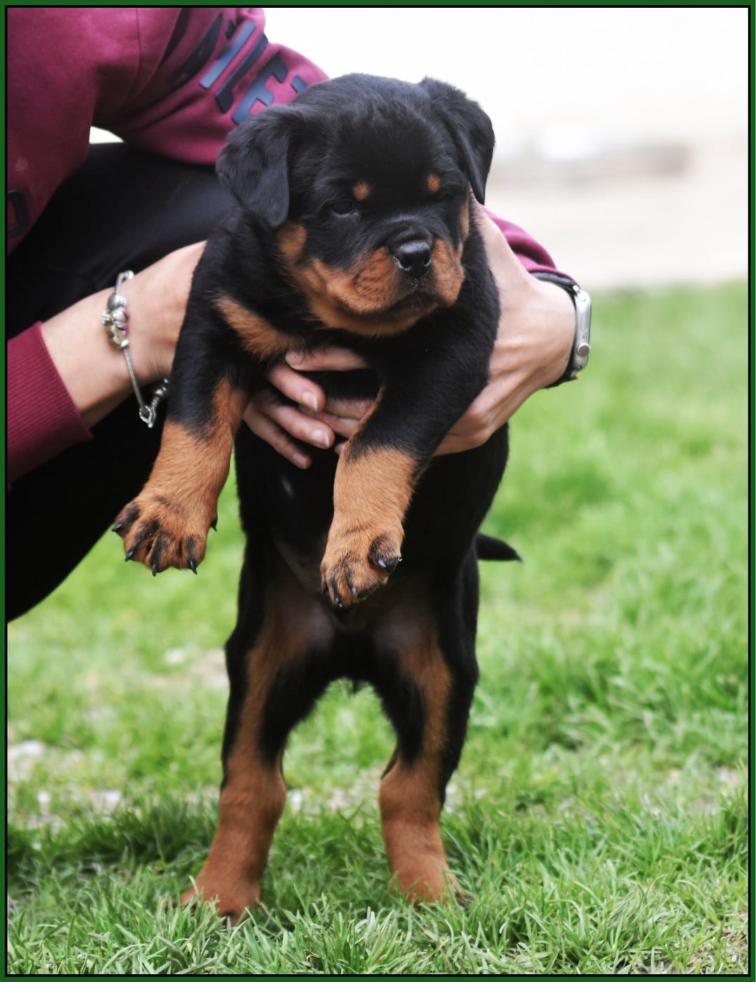 Benzino - Mâle Militaire