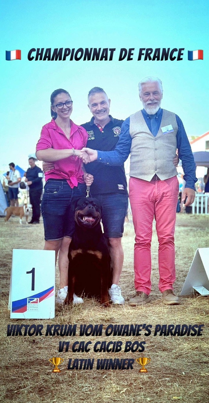 Viktor krum Vom Owane's Paradise - 1er Exc + CACS + CACIB + Meilleur de Sexe Opposé BOS + Latin Winner