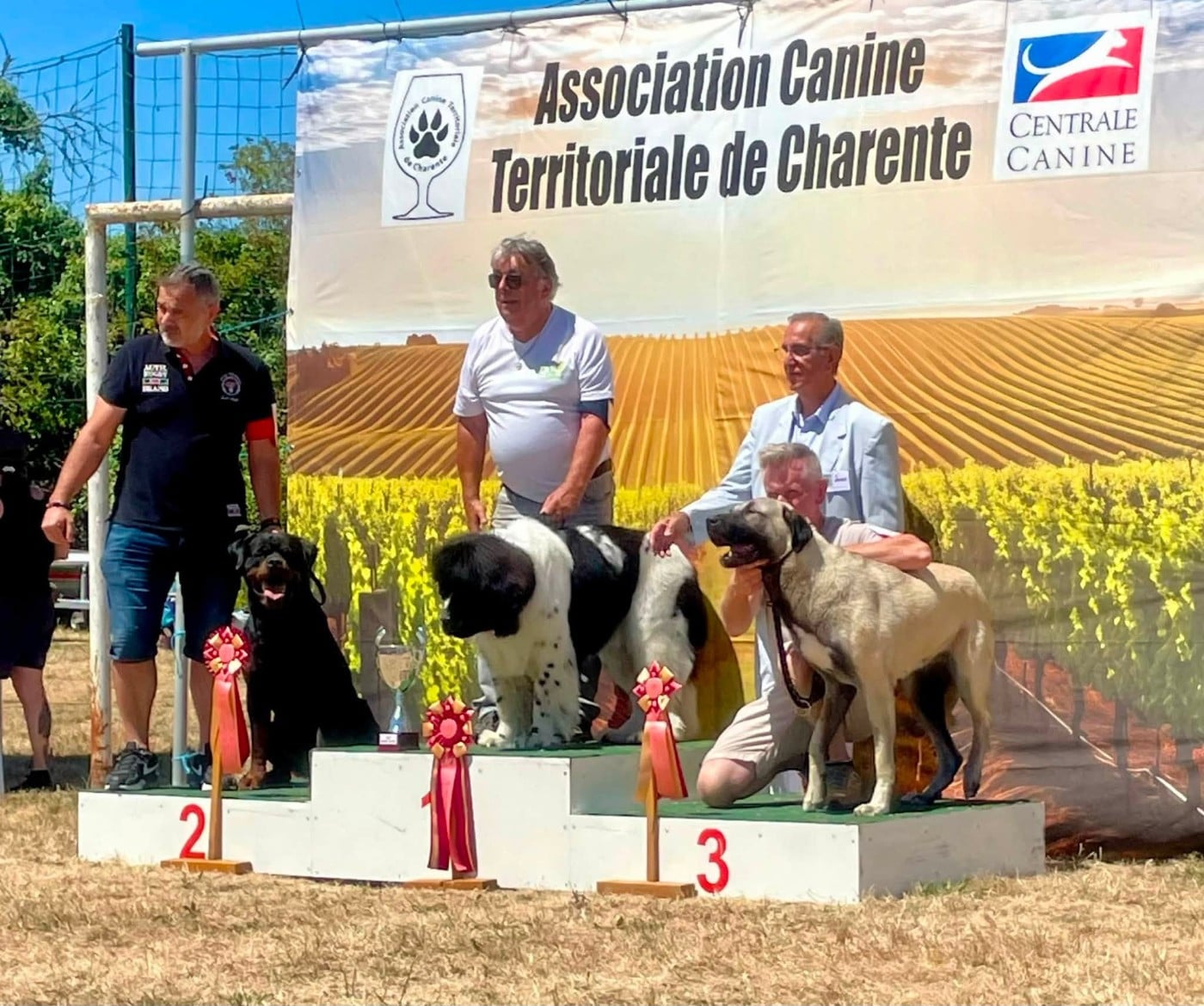 S'croc Vom Owane's Paradise - 1er Exc + CACS + Meilleur de Race BOB + 2ème Meilleur du groupe BOG-2