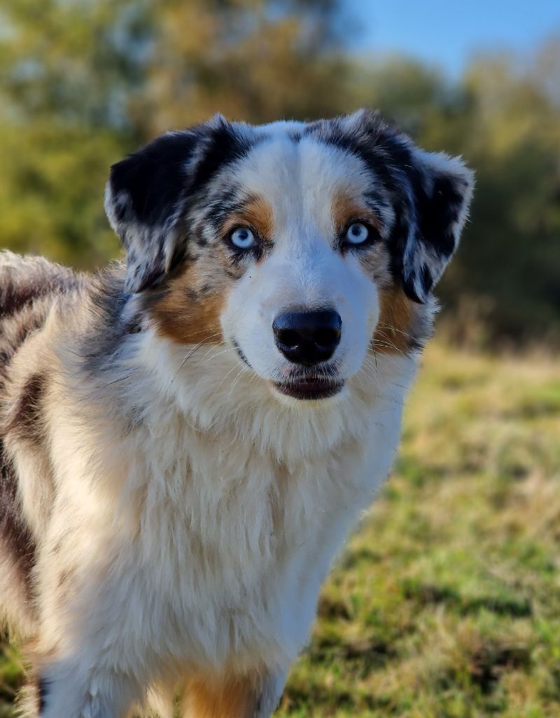 Publication : Des Champs De Beyssac