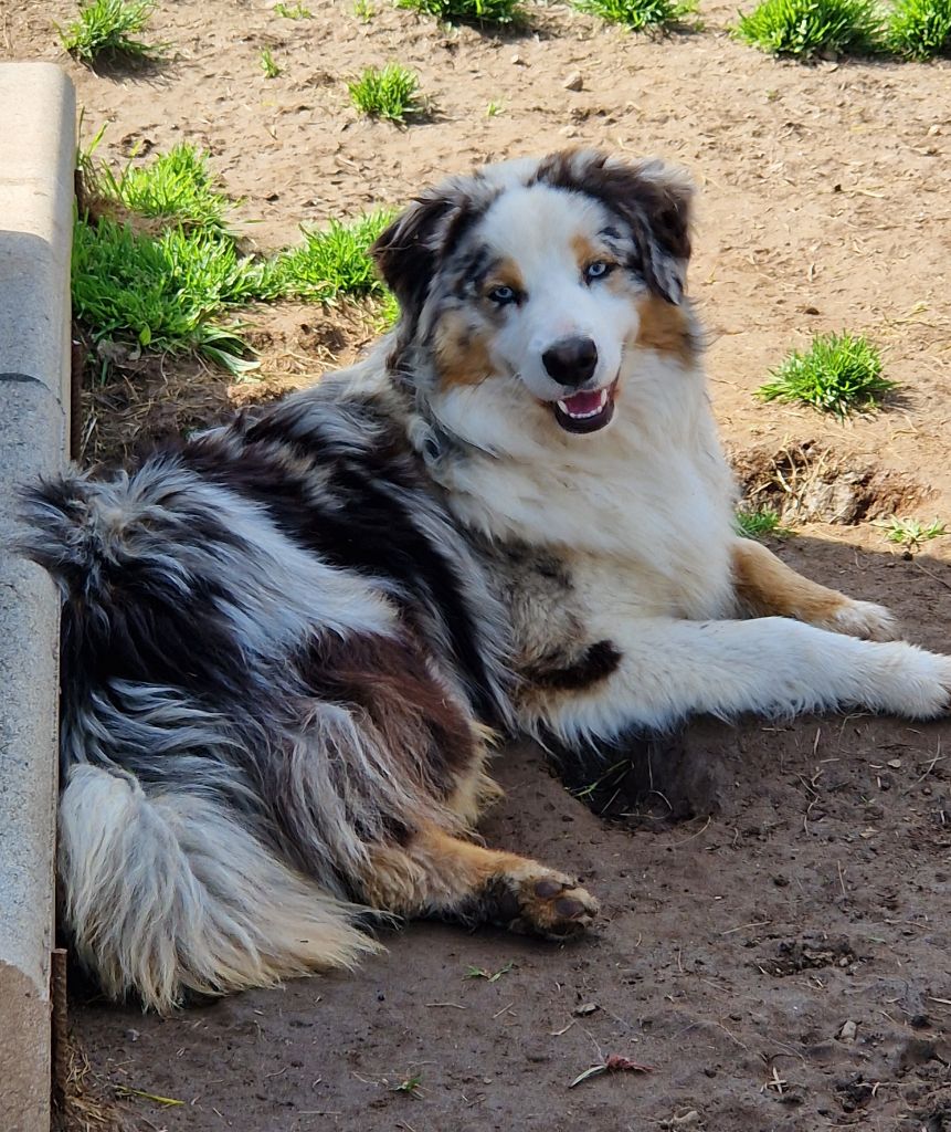 Publication : Des Champs De Beyssac