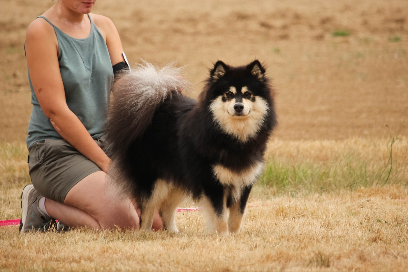 Vogue Merry Zoro Legend Of Raven